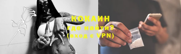прущие грибы Кукмор
