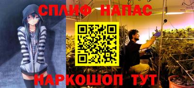 spice Балашиха