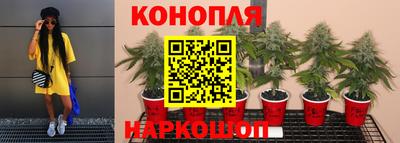 ALPHA PVP Балашиха