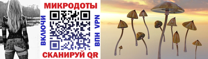 Галлюциногенные грибы Cubensis KRAKEN зеркало Волгодонск
