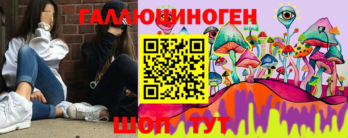 Галлюциногенные грибы Psilocybe  купить наркотики сайты  Волгодонск  Галлюциногенные грибы ЛСД  Вход с VPN 
