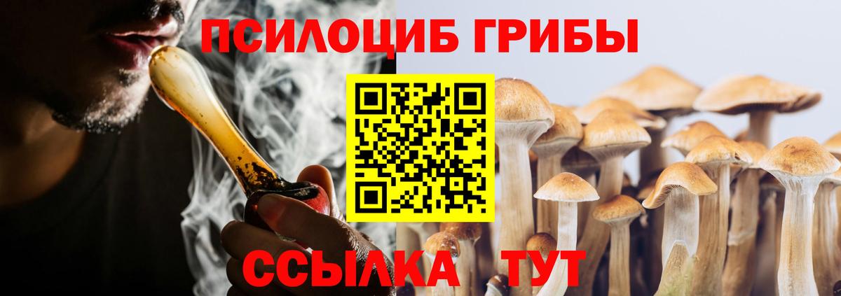 Псилоцибиновые грибы Psilocybe  Волгодонск 