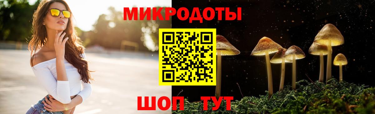 Галлюциногенные грибы мухоморы Волгодонск