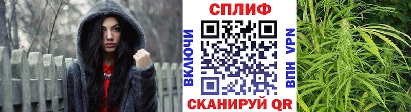 как найти закладки Волгодонск блэк спрут зеркало Бошки марихуана тримм